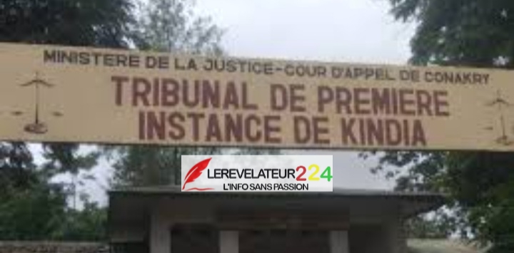 Crise politique en Guinée : L’unité comme clé de la résistance face à l’oppression
