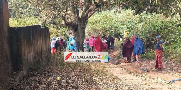 LABE: les os d&rsquo;une fillette portée disparue depuis deux mois, retrouvés au bord d&rsquo;une rivière