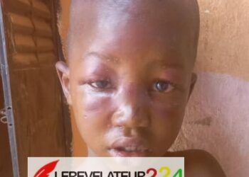 Qui a lâché Bachar el-Assad, et pourquoi ? (Par Ibrahima M&rsquo;bemba Bah)