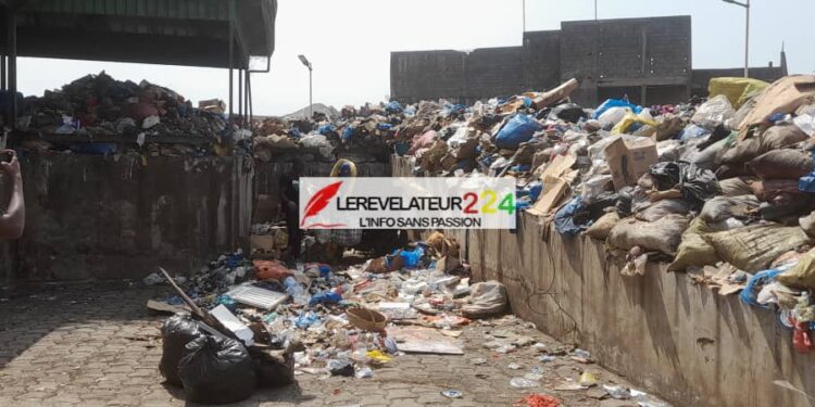 Gestion des ordures, un véritable casse-tête pour les PME : ‘’Le secteur est pris en otage, il y a une mafia qui gravite autour de l’assainissement en Guinée’’