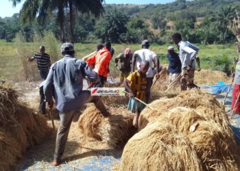 Gestion des ordures, un véritable casse-tête pour les PME : ‘’Le secteur est pris en otage, il y a une mafia qui gravite autour de l’assainissement en Guinée’’