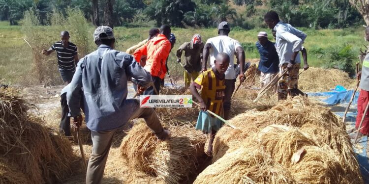 Gestion des ordures, un véritable casse-tête pour les PME : ‘’Le secteur est pris en otage, il y a une mafia qui gravite autour de l’assainissement en Guinée’’