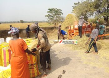 Gestion des ordures, un véritable casse-tête pour les PME : ‘’Le secteur est pris en otage, il y a une mafia qui gravite autour de l’assainissement en Guinée’’