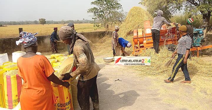 Gestion des ordures, un véritable casse-tête pour les PME : ‘’Le secteur est pris en otage, il y a une mafia qui gravite autour de l’assainissement en Guinée’’