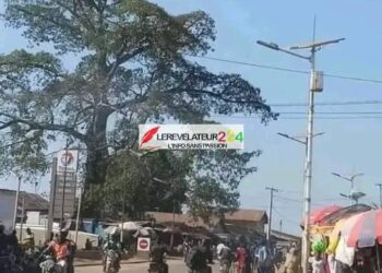 Aboubacar Demba Dansoko sur l’arrestation d’Aliou Bah : ‘’C&rsquo;est inacceptable qu&rsquo;un citoyen guinéen soit interpellé en dehors des formes juridiques’’