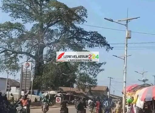 Aboubacar Demba Dansoko sur l’arrestation d’Aliou Bah : ‘’C’est inacceptable qu’un citoyen guinéen soit interpellé en dehors des formes juridiques’’