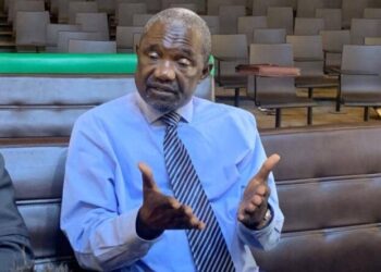 Repenser les libertés publiques en 2025, c’est gagner un grand pari sur l’avenir en Guinée (Par Sayon Mara)