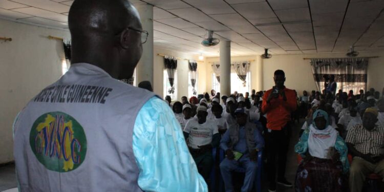 Conflit entre agriculteurs et éleveurs à Lainé/Lola : les détenus graciés par le Général Mamadi Doumbouya
