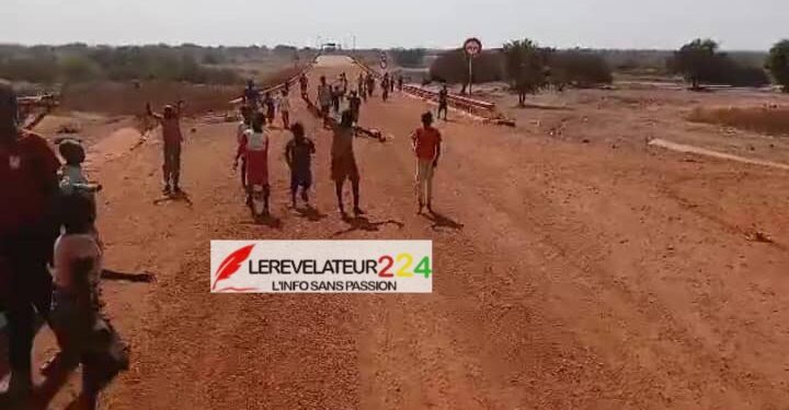 Conakry : les 50PHD recrutés par le Gouvernement crient au scandale et attirent l’attention des autorités