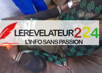 Coopération : le Ministre Moussa Moïse Sylla reçoit en audience Jean-Luc Martinez, Ambassadeur pour la Coopération internationale dans le domaine du patrimoine au Ministère français de l&rsquo;Europe et des Affaires étrangères