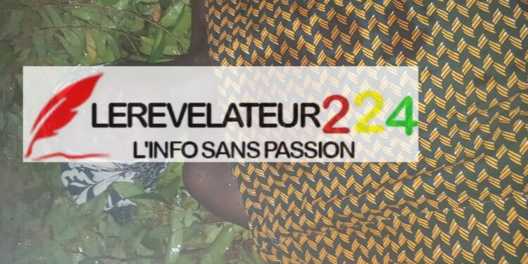 SIGUIRI: l’éboulement d’une mine d’or fait plusieurs morts…