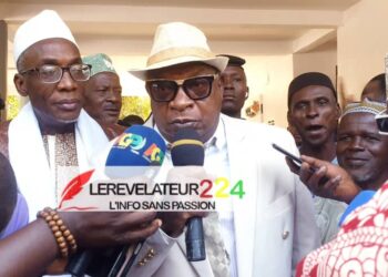 Ousmane Gaoual Diallo : ‘’Ça va être difficile d’enchaîner les élections présidentielles cette année’’
