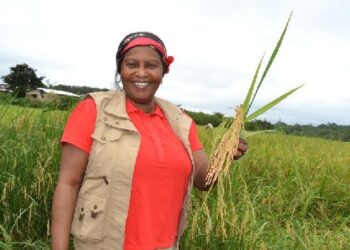Nécrologie: Mariama Soguipah Camara, ancienne ministre sous Alpha Condé, tire sa révérence