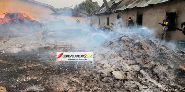 Ibrahima Kalil Diallo sur la condamnation d&rsquo;Aliou Bah: ‘’ça veut dire que si vous voulez vivre tranquille en Guinée, il faut la fermer’’