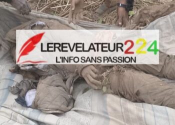 Angola : Un guinéen tué à Luanda