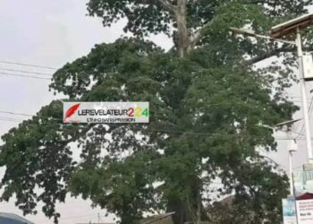 KISSIDOUGOU : Une partie de chasse tourne au drame à Sangardô