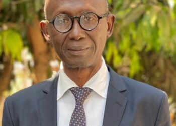 Démissions des politiques au CNT/Dr Mauro Sidibe s’interroge: Pourquoi y êtes vous allés ? (Par Dr Mauro Sidibé)