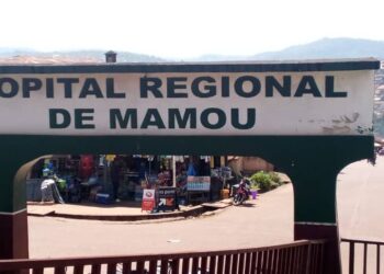 URGENT/Mamou: la tête d&rsquo;un jeune broyée par un camion à Dalouwal