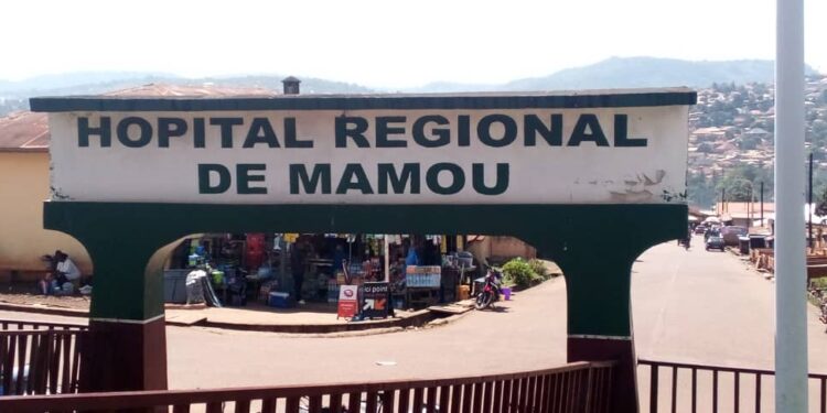 URGENT/Mamou: la tête d&rsquo;un jeune broyée par un camion à Dalouwal