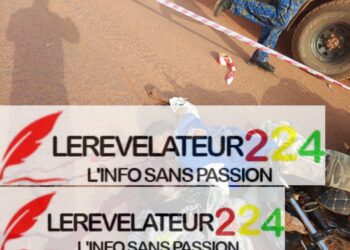 Cas d’enlèvements en Guinée : TLP – Guinée plaide pour la mise en place d’une commission mixte d’enquête indépendante, impartiale et transparente