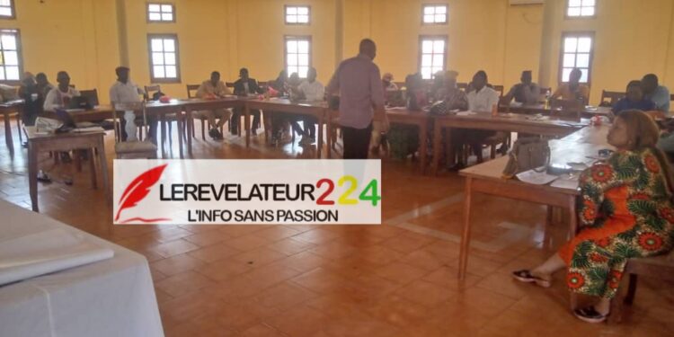 Guinée: la DIRPA met en garde contre la diffusion d’informations nuisibles à l’armée