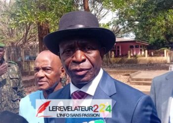 Suspension des partis politiques en Guinée: Un autre coup de massue administré à la démocratie (Par Aïssatou Chérif Diallo)