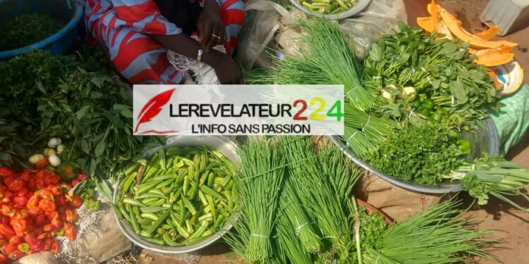Marché central de Labé : Un sac de Gombo se négocie jusqu’à 1 700 000 GNF