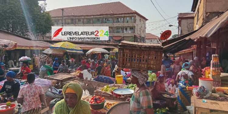 Elhadj Ibrahima Sampiring Diallo, un expert au service de la Constitution