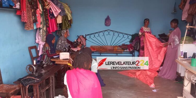 Culture de la paix en Guinée : le combat du président de la jeunesse forestière