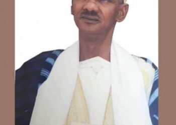 Elhadj Ibrahima Sampiring Diallo, un expert au service de la Constitution