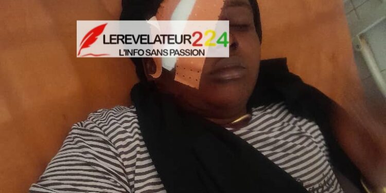 Immersion Gouvernementale : Bah Oury annonce la deuxième phase…
