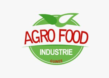 UFDG: les fédéraux du Grand Conakry apportent leur soutien à Cellou Dalein Diallo