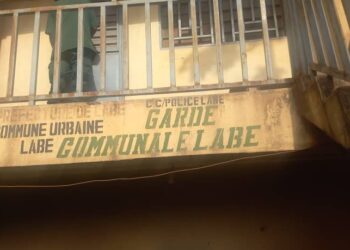 UFDG: les fédéraux du Grand Conakry apportent leur soutien à Cellou Dalein Diallo