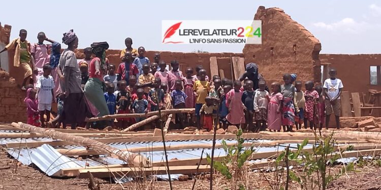 Guinée : la HAC annonce le lancement des opérations de délivrance des cartes de presse 2025-2027
