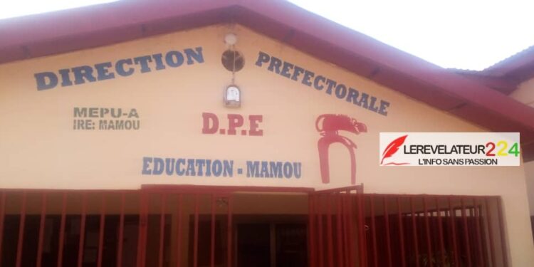 Célébration des acquis du CNRD à Mamou : ‘’Nous allons sortir massivement et tant pis pour les saboteurs’’, dixit le DPE
