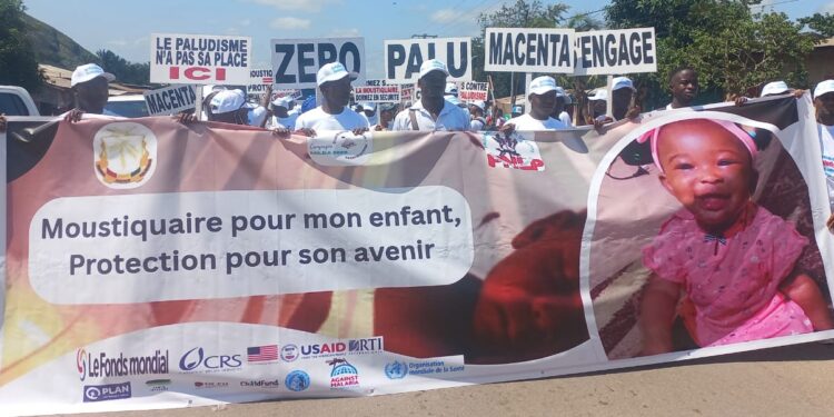 Paludisme en Guinée : N’Zérékoré, région la plus affectée
