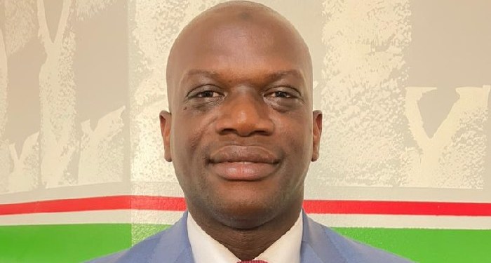 La première génération du Fonds Souverain Guinéen sous l’ère de Gal Mamadi Doumbouya: Quelles opportunités financières et risques économiques pour la Guinée ?