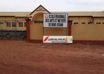 52 sections du RPG Arc-en-ciel apportent leur soutien au Général Doumbouya : le parti d’Alpha Condé dénonce une manipulation