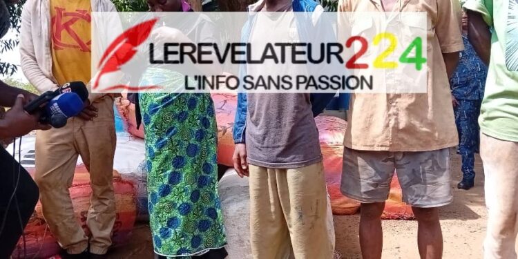 URGENT-Kissidougou : Un bouvier malien succombe à ses blessures, suite à une bagarre avec un paysan à Gbangbadou