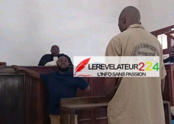 SCIDIE AWARDS 2026 : Le site « Lerenifleur224.com » nominé dans la catégorie meilleur média, une référence guinéenne en lice pour une reconnaissance panafricaine