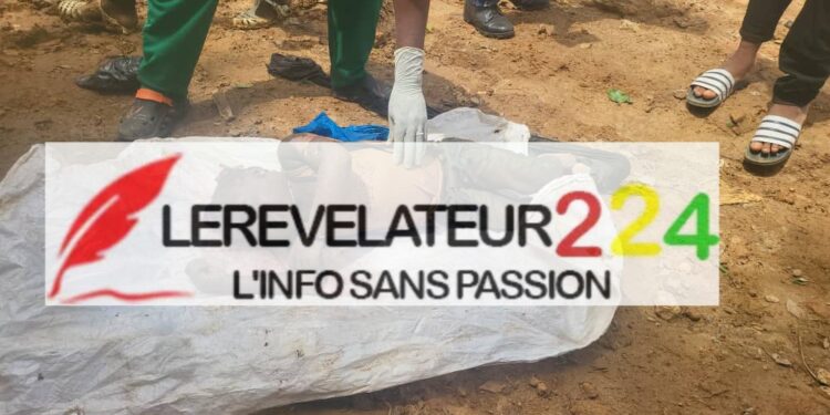 Guinée : Quand dire la vérité devient un crime