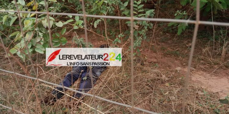 Examens d’entrée en 7ème à Boké: Au centre Alrahma, 311 candidats identifient leurs PV