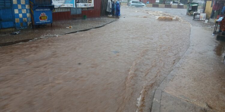 Conakry : Pieds dans l’eau, les travaux publics interpellés, l’incivisme des citoyens pointés du doigt