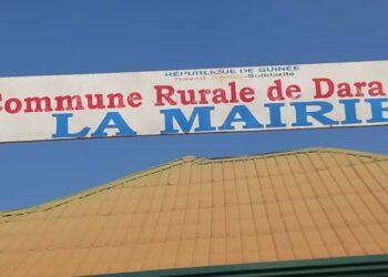 Alpha Bayo: « C’est l’une des meilleures pour ne pas dire la meilleure constitution dans l’histoire politique de la Guinée »