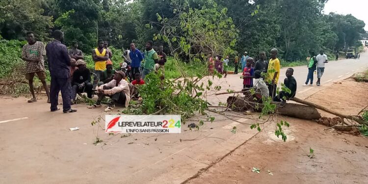 KINDIA : Des jeunes protestent et barricadent la route