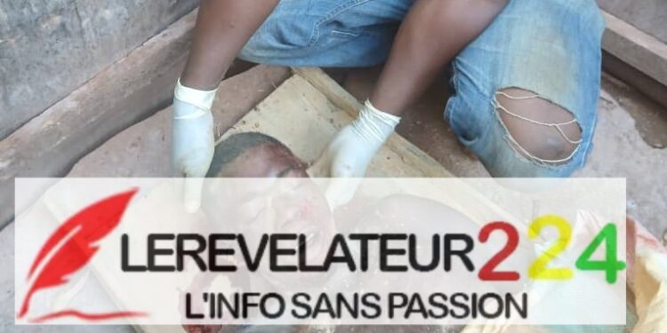 Les Incitations fiscales à l’Investissement en Guinée (Par Dr. Mamadou Aliou Bah)