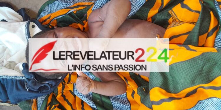 Même si nous ne leur donnons rien, comme c’est souvent le cas, rendons tout au moins aux valeureux avocats un hommage mérité (Par Dr. Faya Millimouno) 