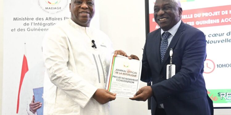 Projet de Nouvelle constitution: Dr. Morissanda Kouyaté confie une mission aux ambassadeurs guinéens