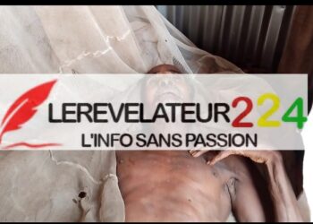 Réponse à une défense indigeste : un papier aussi creux qu’inutile !