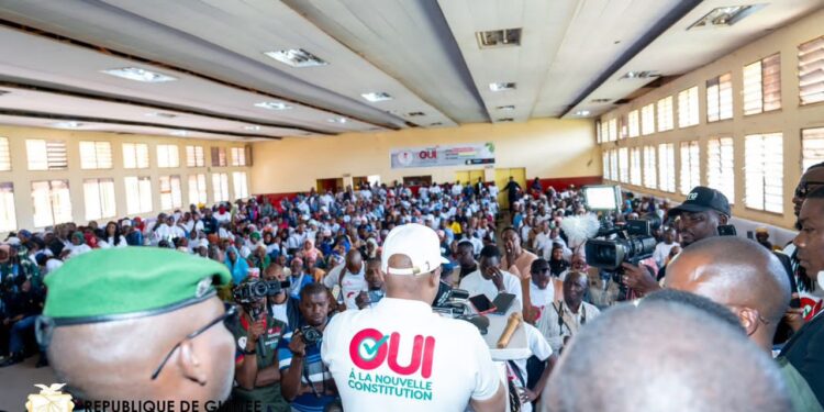 Vulgarisation du projet de nouvelle Constitution : Ousmane Gaoual Diallo en première ligne